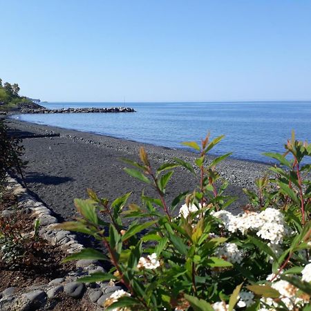 Pasa Tatil Koeyue Akcaabat エクステリア 写真